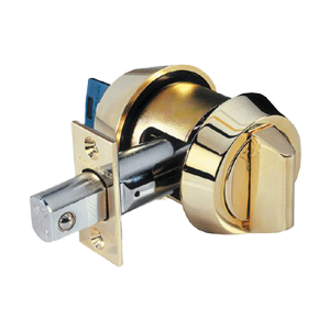 Schlage Accent Lever