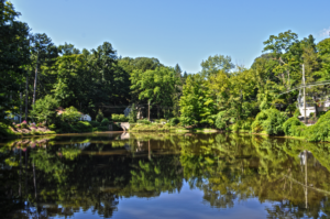 Duck pond in Chappaqua, New York